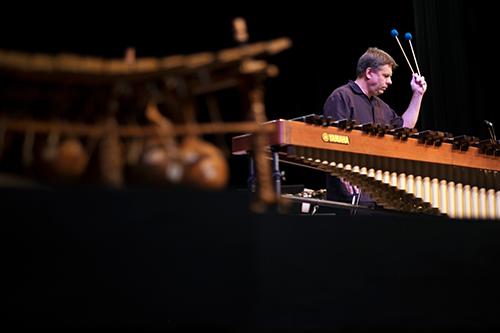 MSU Professor Robert Damm, pictured performing on the marimba, developed the curriculum and will provide advising for students