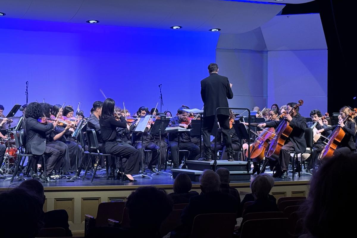 Musicians perform onstage with instruments